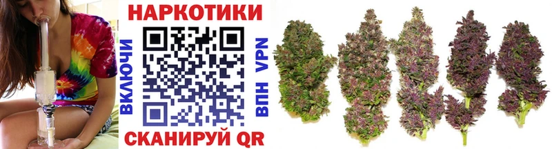 Купить закладку Alpha-PVP  COCAIN  Псилоцибиновые грибы  Канабис  Мефедрон  Бабаево