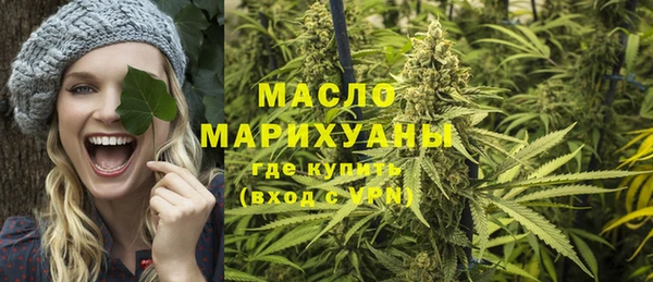 винт Ельня