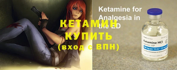 винт Ельня