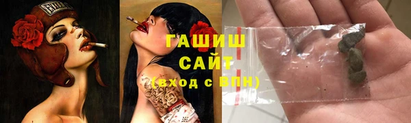 винт Ельня
