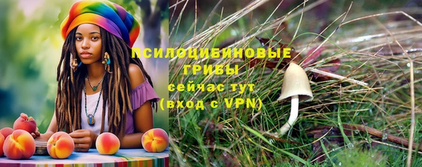 спайс Елабуга