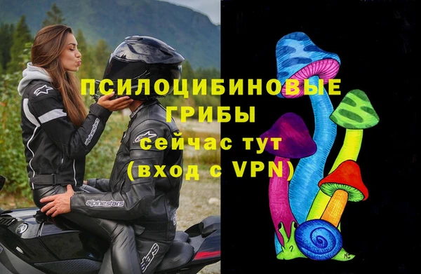 винт Ельня