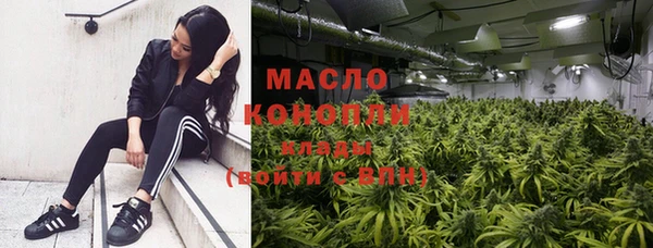 винт Ельня