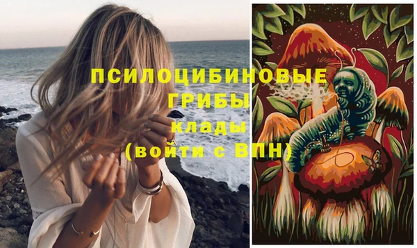 ешки Елизово