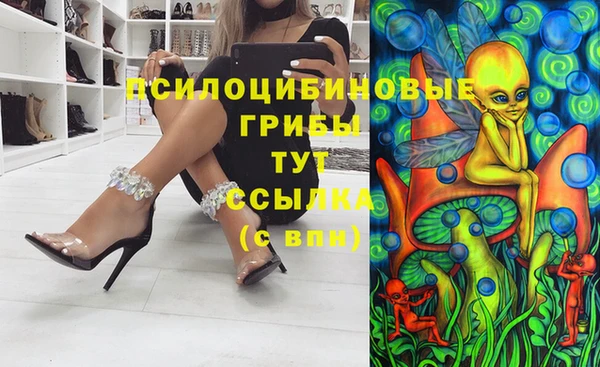 винт Ельня