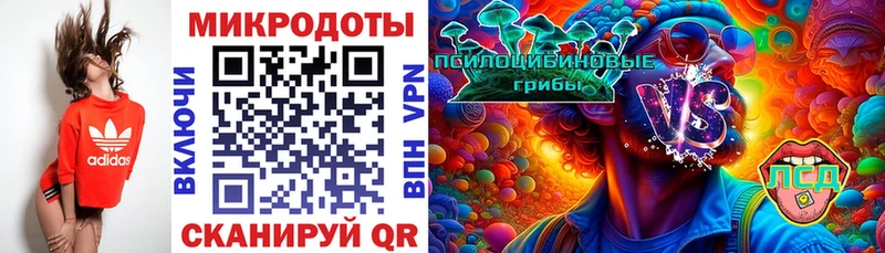 Галлюциногенные грибы ЛСД  Купить закладки  Бабаево 